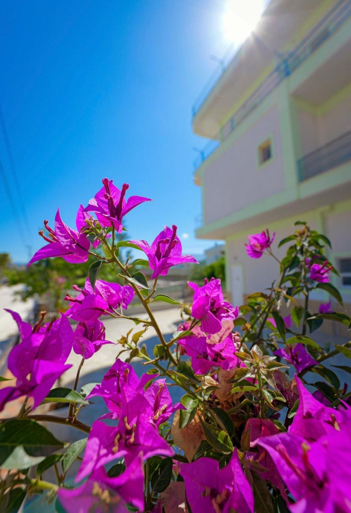 Sunflower Hotel كساميل المظهر الخارجي الصورة